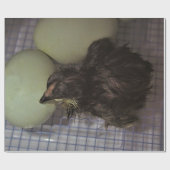 Oude notulen cadeaupapier (Vlak)