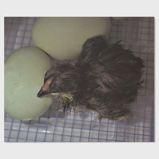 Oude notulen cadeaupapier (Vlak)