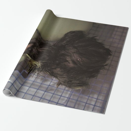 Oude notulen cadeaupapier (Uitgerold)