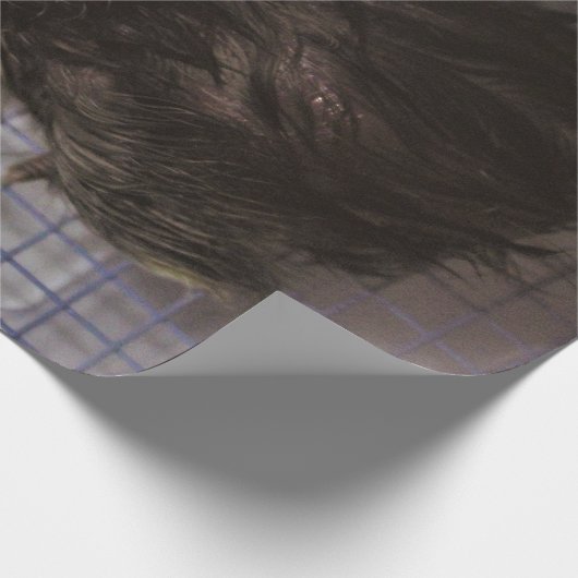 Oude notulen cadeaupapier (Hoek)