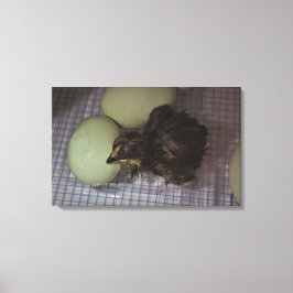 Oude notulen canvas afdruk