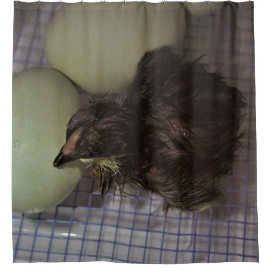 Oude notulen douchegordijn (Voorkant)