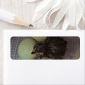 Oude notulen etiket (Insitu)