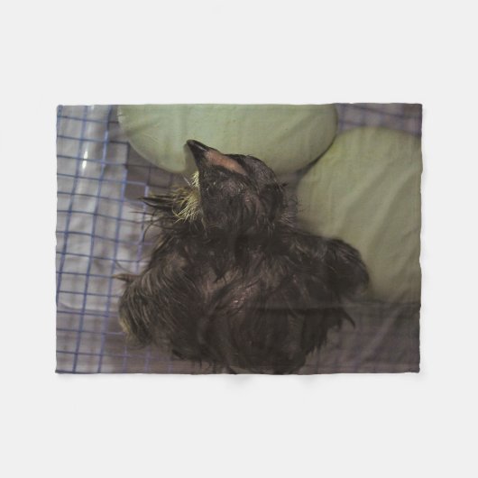 Oude notulen fleece deken (Voorkant (Horizontaal))