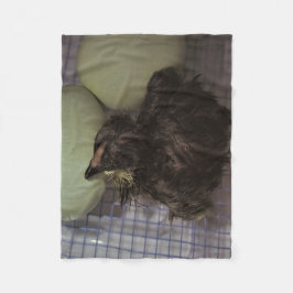 Oude notulen fleece deken