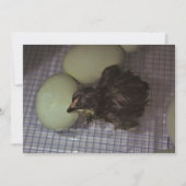 Oude notulen kaart (Voorkant)