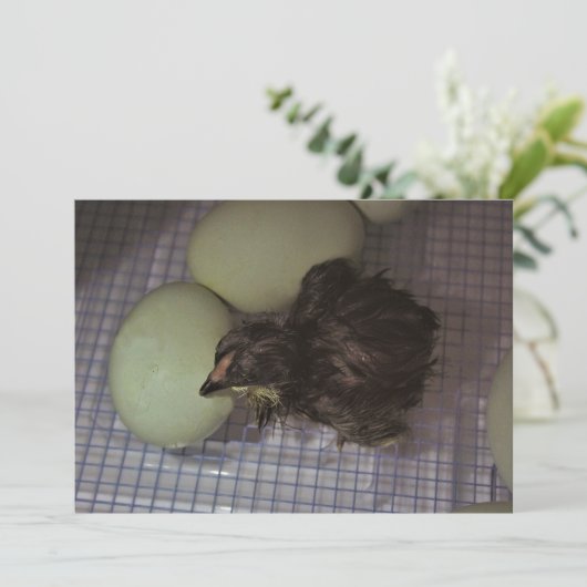 Oude notulen kaart (Staand voorkant)