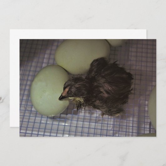 Oude notulen kaart (Voorkant / Achterkant)