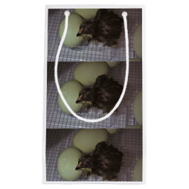 Oude notulen klein cadeauzakje