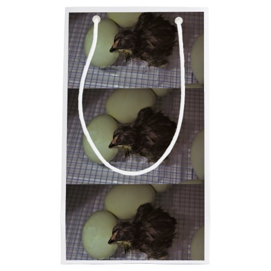 Oude notulen klein cadeauzakje (Voorkant)