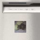 Oude notulen magneet (Insitu (Vaatwasser))