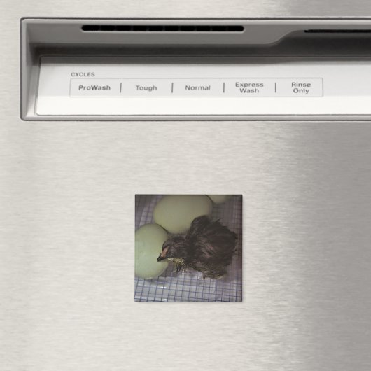 Oude notulen magneet (Insitu (Vaatwasser))