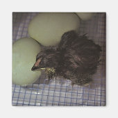 Oude notulen magneet (Voorkant)