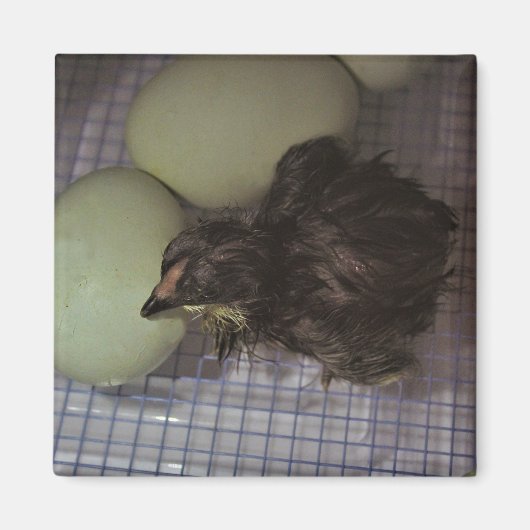 Oude notulen magneet (Voorkant)