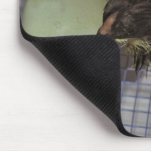 Oude notulen muismat (Hoek)