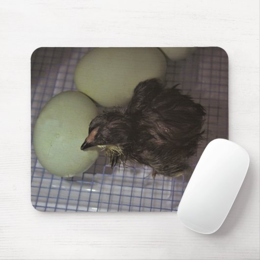 Oude notulen muismat (Met muis)