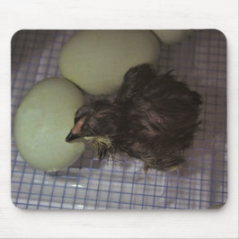 Oude notulen muismat