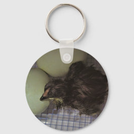 Oude notulen sleutelhanger