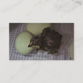 Oude notulen visitekaartje (Voorkant)