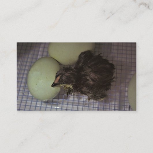 Oude notulen visitekaartje (Voorkant)