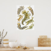 Oude Nudibranchia, Zeeslakken door Ernst Haeckel Poster (Keuken)