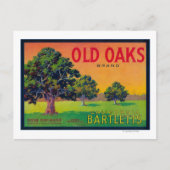 Oude Oaks-parelkrat LabelBryte, CA Briefkaart (Voorkant)