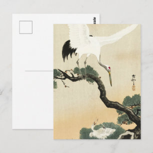 Oude Ohara Koson Japanse Kraan Dennenboom Kunst Briefkaart