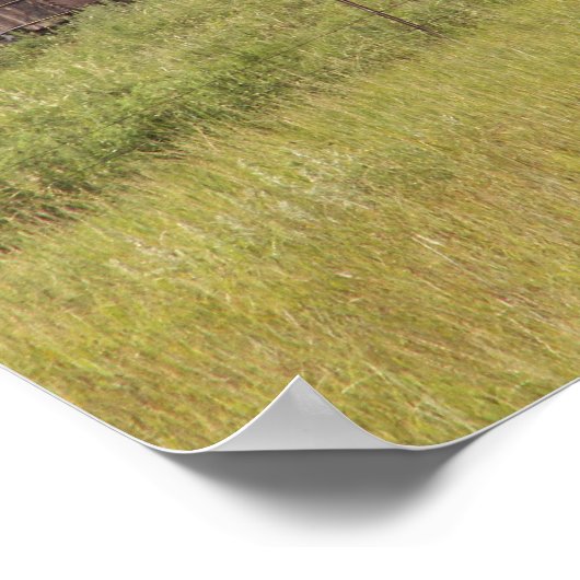 oude oliereservoirs poster (Hoek)