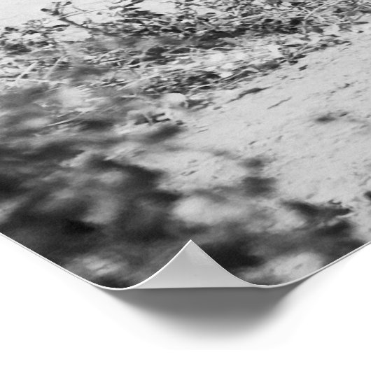 Oude olifant poster (Hoek)