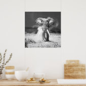 Oude olifant poster (Keuken)