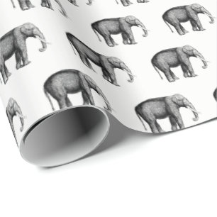 Oude Olifant Tekening Cadeaupapier