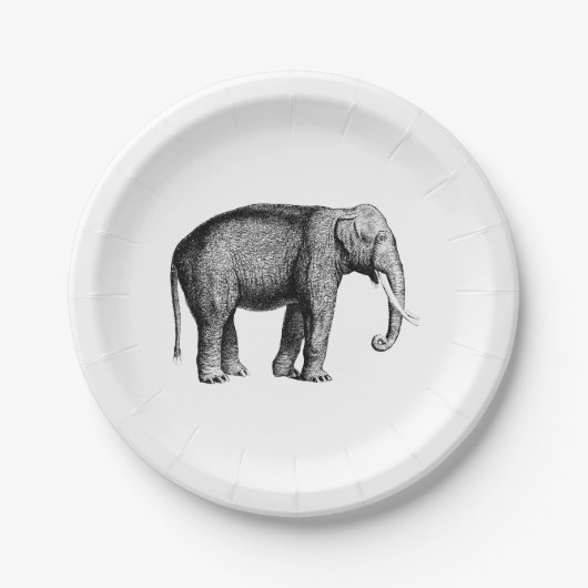 Oude Olifant Tekening Papieren Bordje (Voorkant)