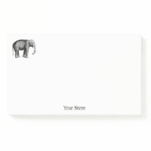 Oude Olifant Tekening