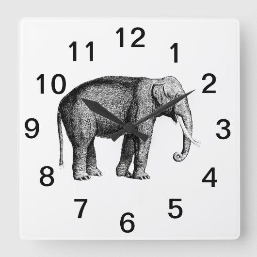 Oude Olifant Tekening Vierkante Klok (Voorkant)