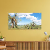 Oude olijfbomen in een landschap in Toscane Canvas Afdruk (Insitu (Woonkamer))