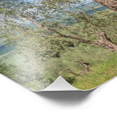 Oude olijfbomen in een landschap in Toscane Foto Afdruk (Hoek)