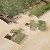 Oude olijfbomen in een landschap in Toscane Legpuzzel (Zijkant)