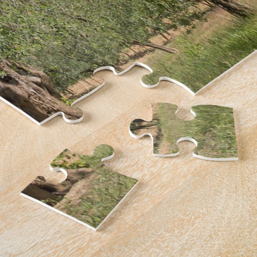 Oude olijfbomen in een landschap in Toscane Legpuzzel (Zijkant)