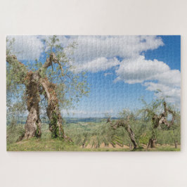 Oude olijfbomen in een landschap in Toscane Legpuzzel