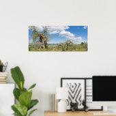 Oude olijfbomen in een landschap in Toscane Poster (Thuiskantoor)