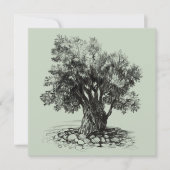 Oude olijfboom (Voorkant)