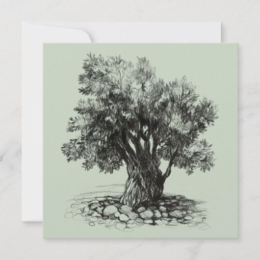 Oude olijfboom (Voorkant)