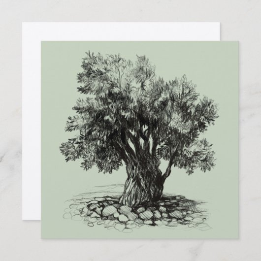 Oude olijfboom (Voorkant / Achterkant)