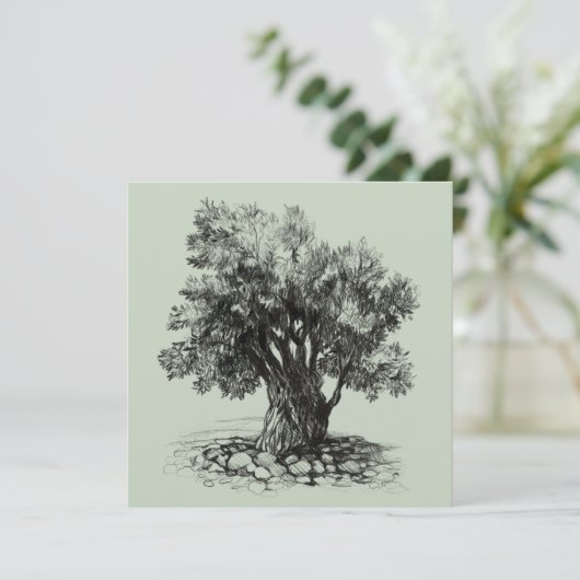 Oude olijfboom (Staand voorkant)