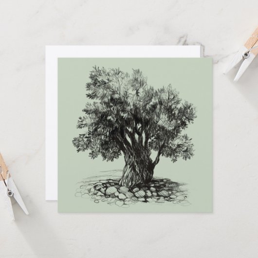 Oude olijfboom (Voorkant / Achterkant in situ)