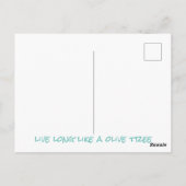 Oude olijfboom briefkaart (Achterkant)