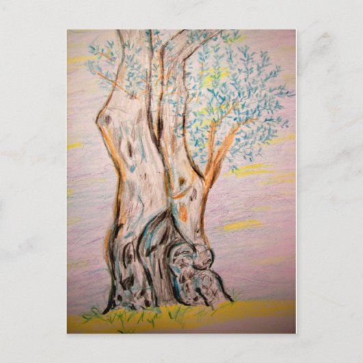 Oude olijfboom briefkaart (Voorkant)