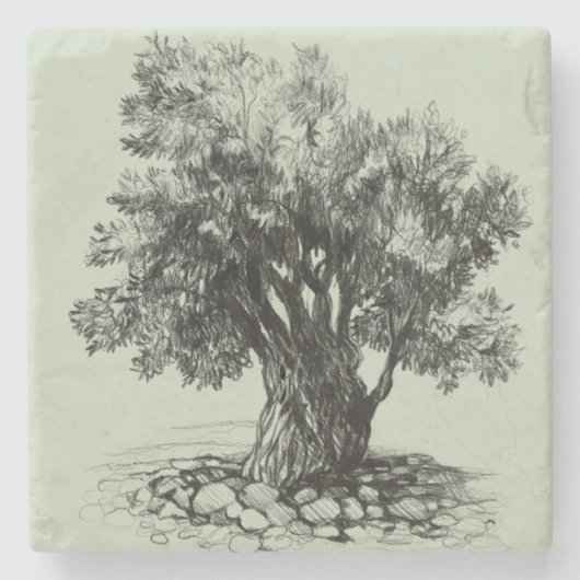 Oude olijfboom stenen onderzetter (Voorkant)