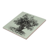Oude olijfboom tegeltje (Zijkant)
