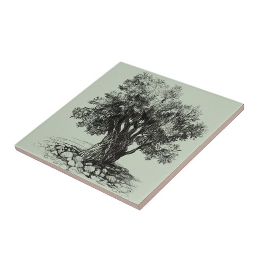 Oude olijfboom tegeltje (Zijkant)